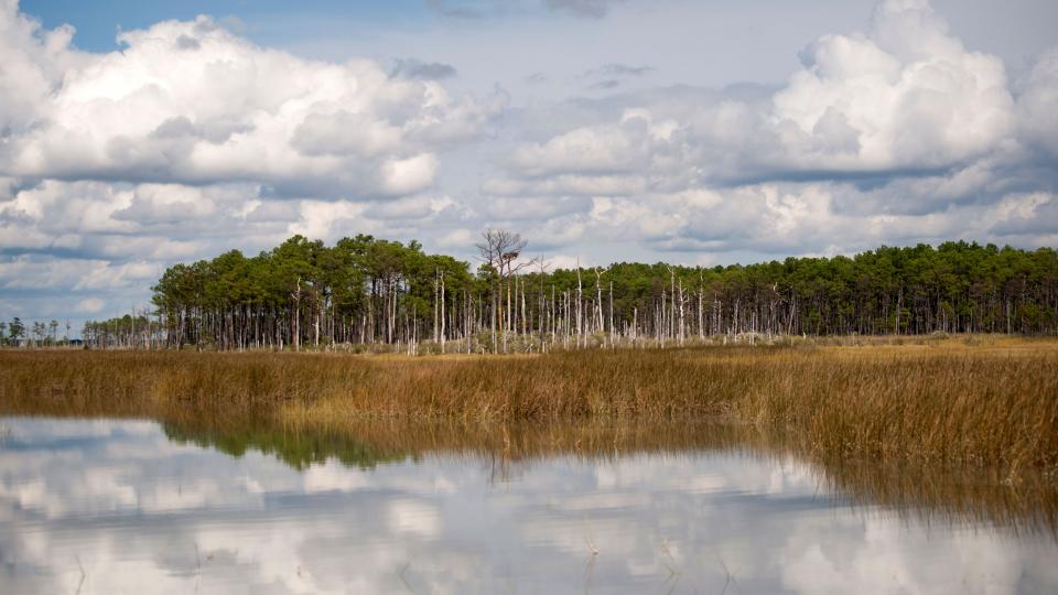 Water meets marsh and land